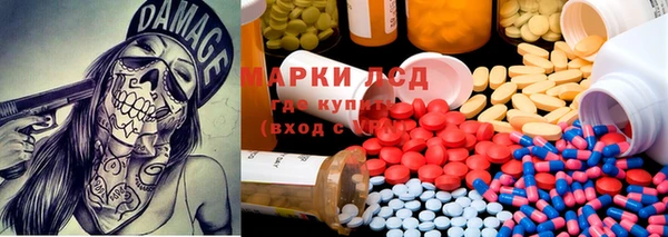 спайс Алзамай
