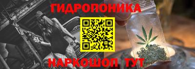 дурь Камышлов