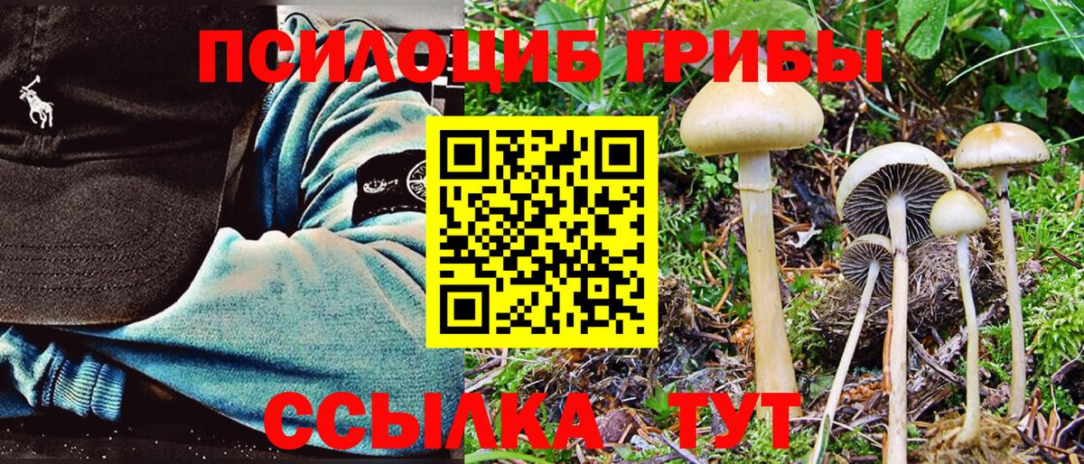 Псилоцибиновые грибы MAGIC MUSHROOMS  Вход с VPN  Коркино  Псилоцибиновые грибы Psilocybine cubensis 